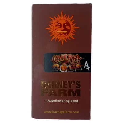 Graine auto-fleurissante Cherry Cola auto de Barney's Farm - Lignée Cherry Cola x BF Super Auto #1 indica.