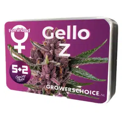 Graine de cannabis Gello Z Growers Choice - Gelato 41 x Mimosa x Zkittlez.