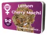 Lemon Cherry Mochi auto Growers Choice Lemon Cherry Mochi auto Growers Choice