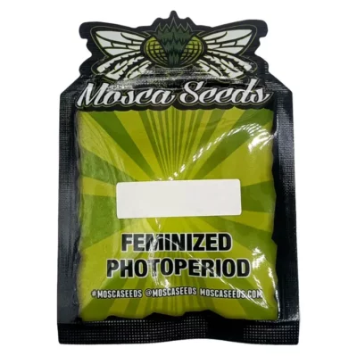 Graine féminisée Root Beer Mac S1 Mosca Seeds - Cross Root Beer Mac 11 x Root Beer Mac 11.