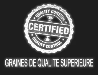 graines de qualité