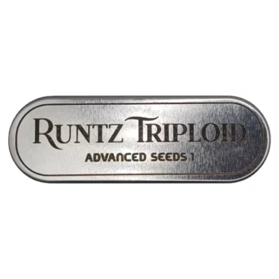 Runtz Triploid Advanced Seeds - Graine féminisée triploïde Runtz x Triploid.