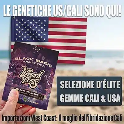 Acquista i migliori semi di cannabis californiani