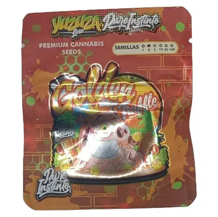Graine de cannabis féminisée Golden Truffle de Pure Instinto - Hybride White Truffle x Yuzuza aux trichomes abondants.