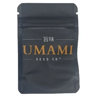 Graine Zodaza Umami Seed Co. - Têtes denses aux arômes complexes de chocolat noir et de notes florales.
