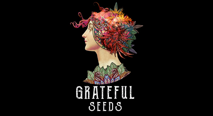 Acheter graines grateful seeds