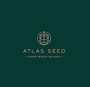 Atlas seed graine cannabis france