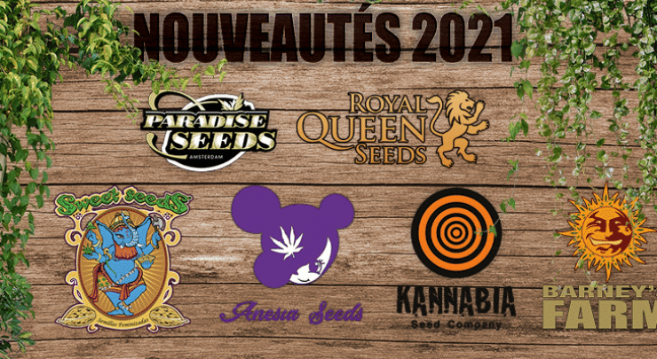 Nouvelles souches cannabis 2021