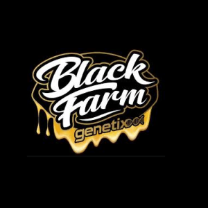 black farm genetics seeds