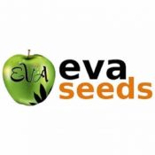 graines eva seeds