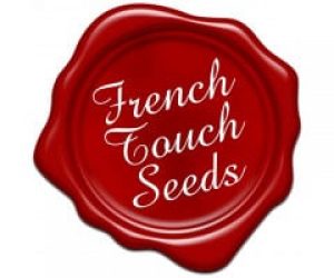 Graines French Touch Seeds