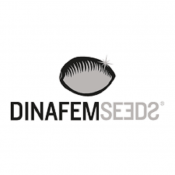graines dinafem