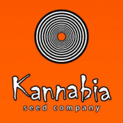 graines kannabia pas cheres