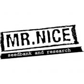 graines Mr Nice