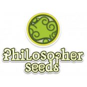 graines philosopher seeds