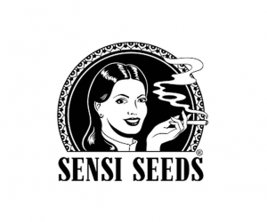 graines sensi seeds