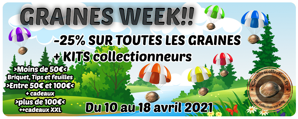 grainesweek_1000x400 promo graines collection france