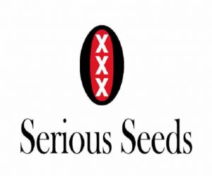 graines serious seeds